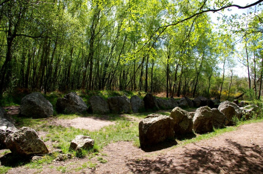 Bosque de Paimpont