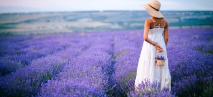 Itinerario de la Lavanda