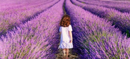 Meseta de Valensole