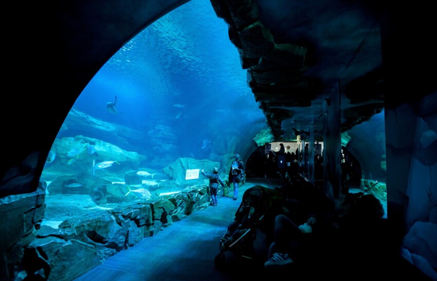 Acuario de París – Cinéaqua