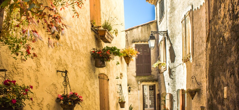 Vaugines