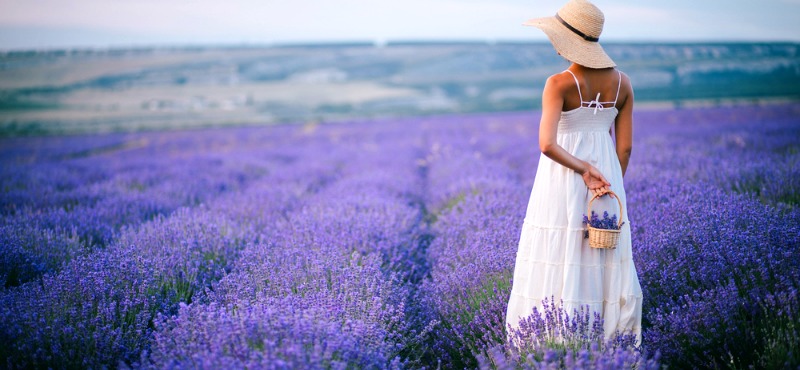 Itinerario della lavanda - Franciaturismo.net