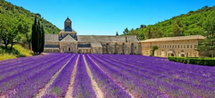 Abbazia di Senanque