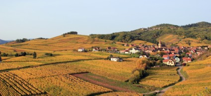 Strada dei vini in Alsazia